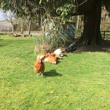 Kennels Cottage Stirling Esterno foto